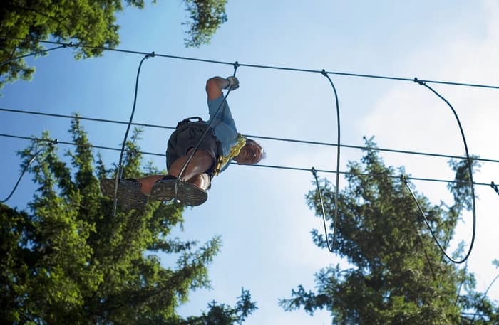 Climber in forest